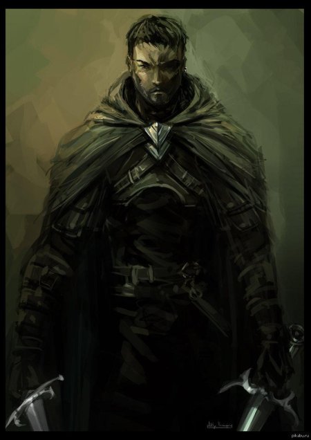 Артемис энтрери