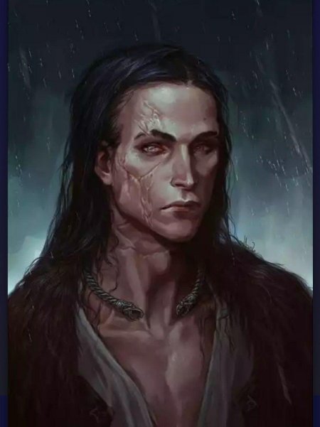 Полуэльф магарт