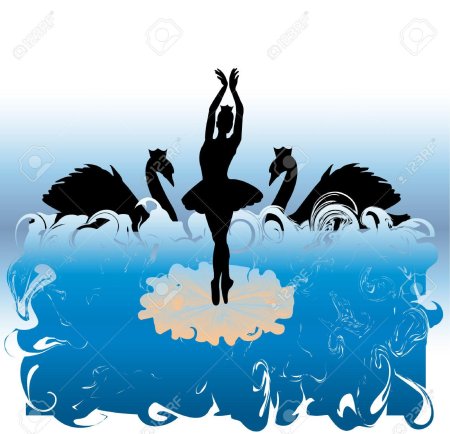 Лебединое озеро черный лебедь