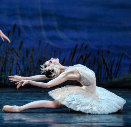 Майя плисецкая лебединое озеро