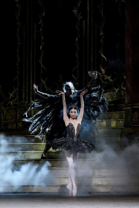 Лебединое озеро балет черный лебедь