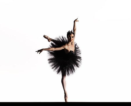 Лебединое озеро балет черный лебедь