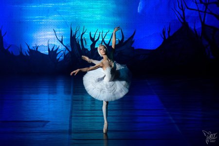 Балет лебединое озеро