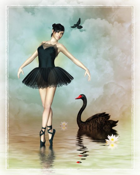 Лебединое озеро черный лебедь