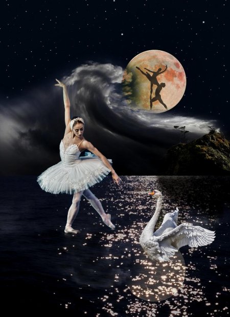 Лебединое озеро белый лебедь