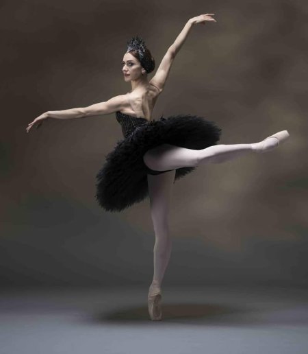 Лебединое озеро балет черный лебедь