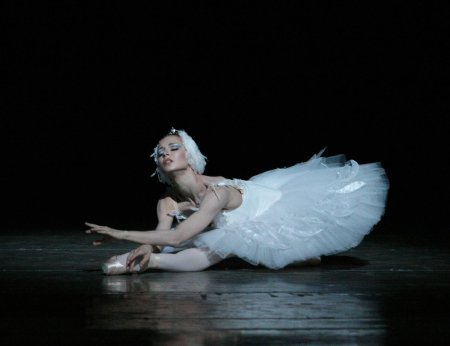 Диана вишнева лебединое озеро