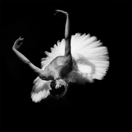 Лебединое озеро черный лебедь