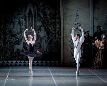 Анастасия соболева михайловский театр