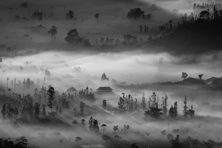 Город в тумане