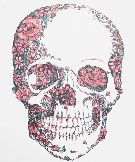 Череп с цветами рисунок