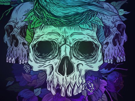 Красивые черепа