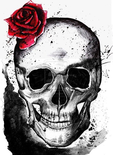 Черепа эскиз