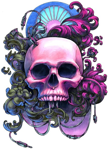 Красивые черепа