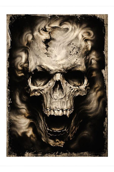 Красивые черепа