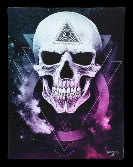 Красивый череп