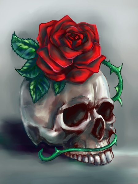 Череп с розами