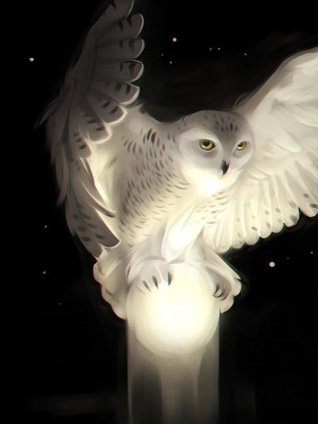 Полярная белая сова