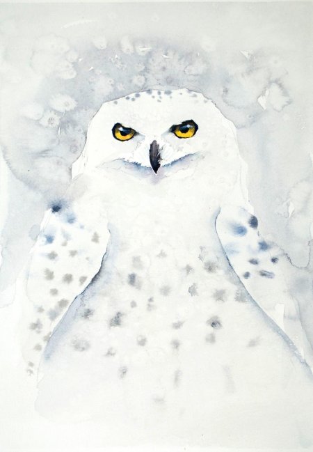 Полярная сова живопись