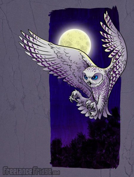 Сова гарри поттер