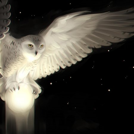 Гарри поттер сова букля