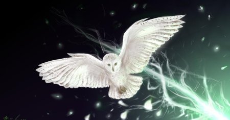 Гарри поттер сова букля