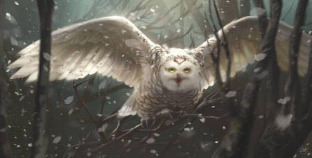 Белая сова арт