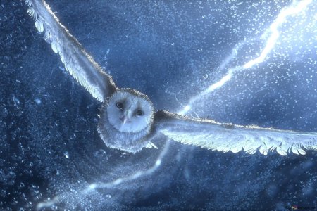 Легенды ночных стражей мультфильм 2010