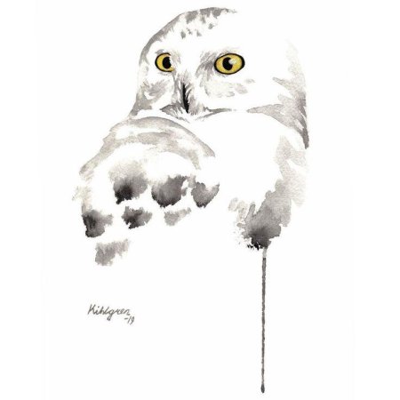 Белая сова акварелью