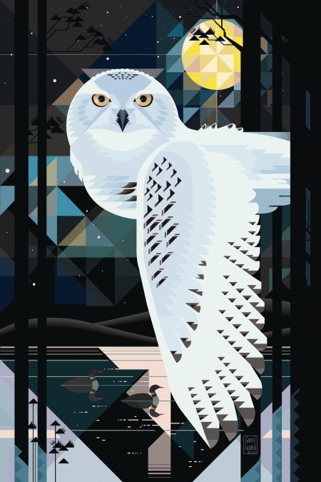 Winter owl