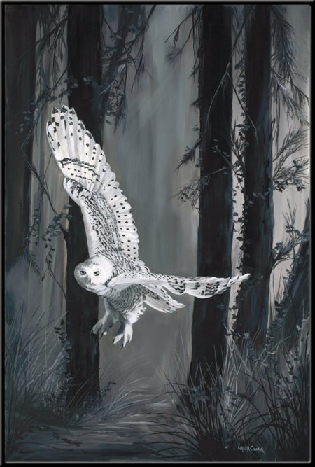 Сова в полете