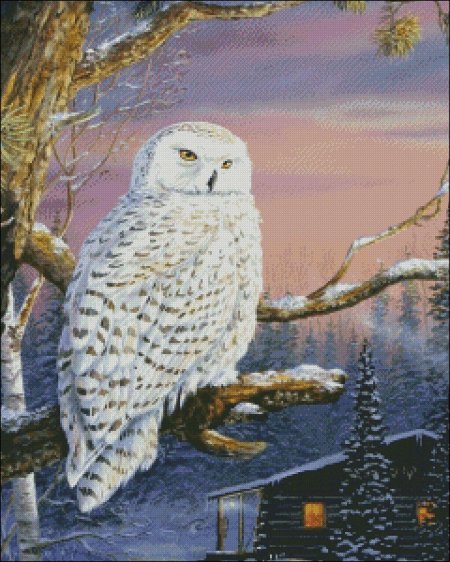 Белая полярная сова