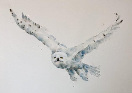 Белая сова арт