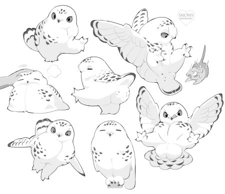 Полярная сова референс