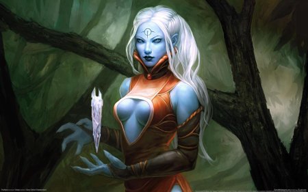 Королева нуалия тёмный эльф