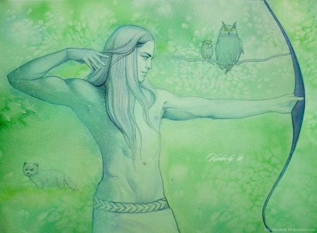 Эльф властелин колец