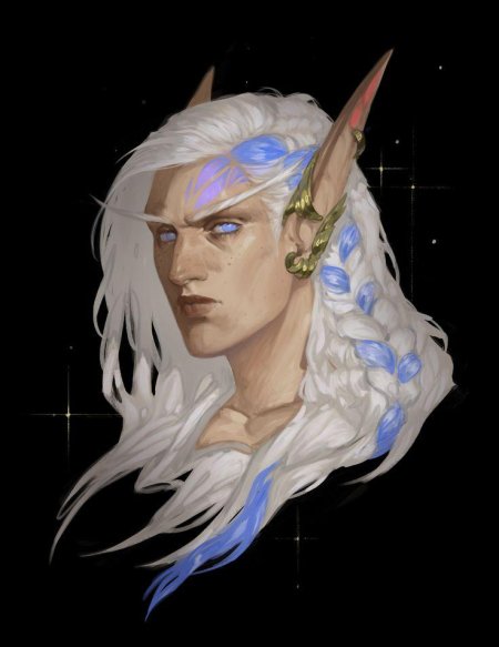 Мужчина эльф