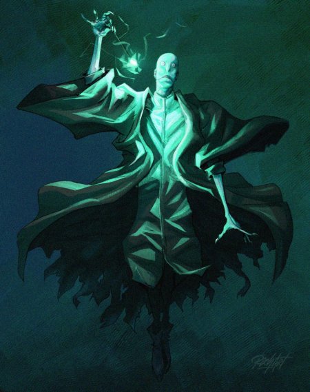 Гарри поттер лорд воландеморт арт