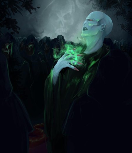 Гарри поттер и лорд воландеморт