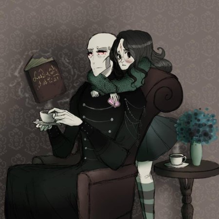 Волдеморт и фем гарри