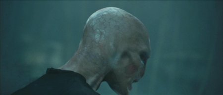 Воландеморт кубок огня