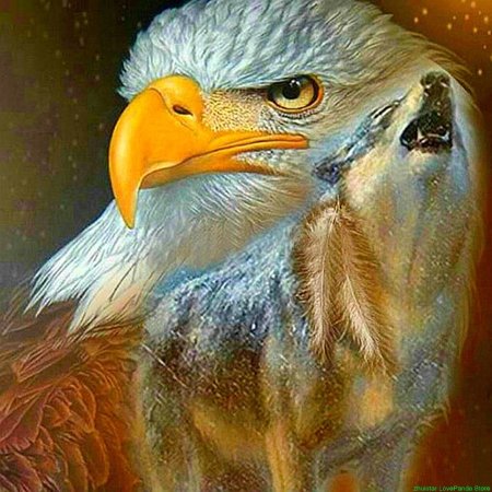 Белоголовый орлан живопись