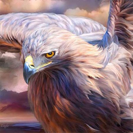 Орел картина