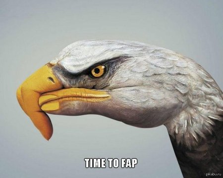 Крутая птица