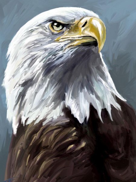 Птицы живопись