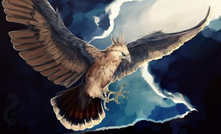 Сокол феникс орел ястреб