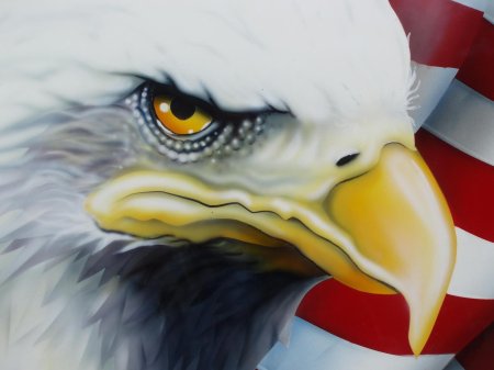 Символ америки белоголовый орлан
