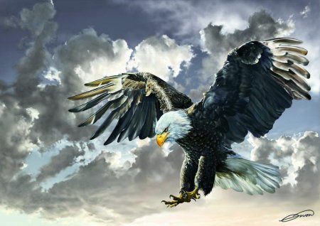 Орел в полете