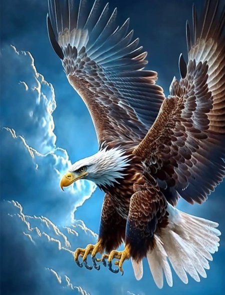 Soaring eagle