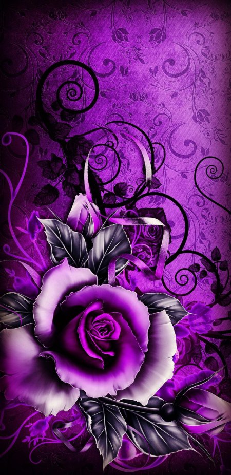 Фиолетовые цветки